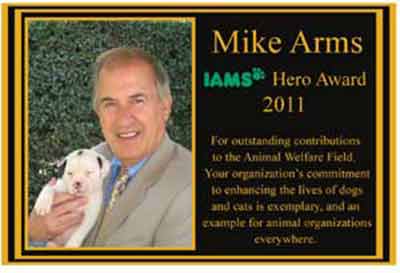 picture plaques, bronze picture plaque, color picture plaques